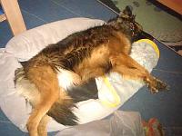 2012_07_01 bella 001